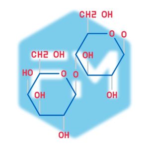 ไดแซ็กคาไรด์ (Disaccharides)