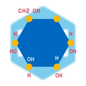 พอลิแซ็กคาไรด์ (Polysaccharides)