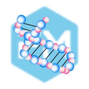 กรดอะมิโน (Amino Acids)