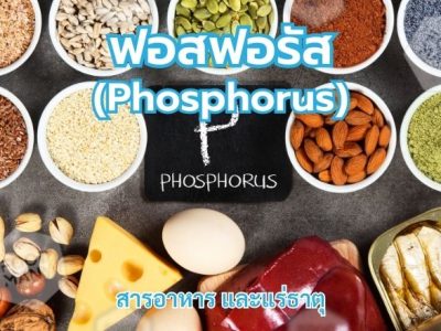 ฟอสฟอรัส (Phosphorus)