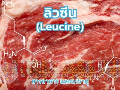 ลิวซีน (Leucine)