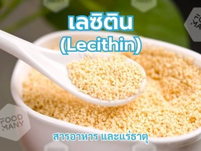 เลซิติน (Lecithin)