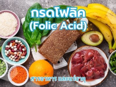 กรดโฟลิค (Folic Acid)