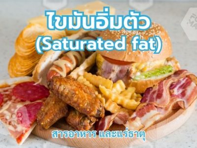 ไขมันอิ่มตัว (Saturated fat)