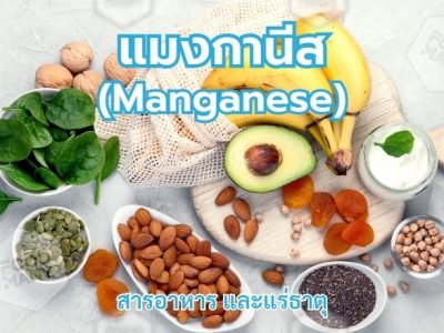 แมงกานีส (Manganese)