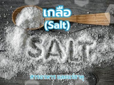 เกลือ (Salt)