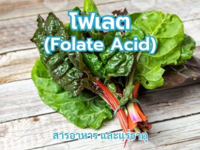 โฟเลต (Folate Acid)