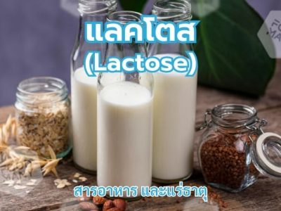 แลคโตส (Lactose)