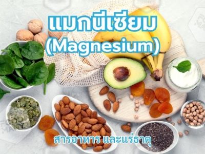 แมกนีเซียม (Magnesium)