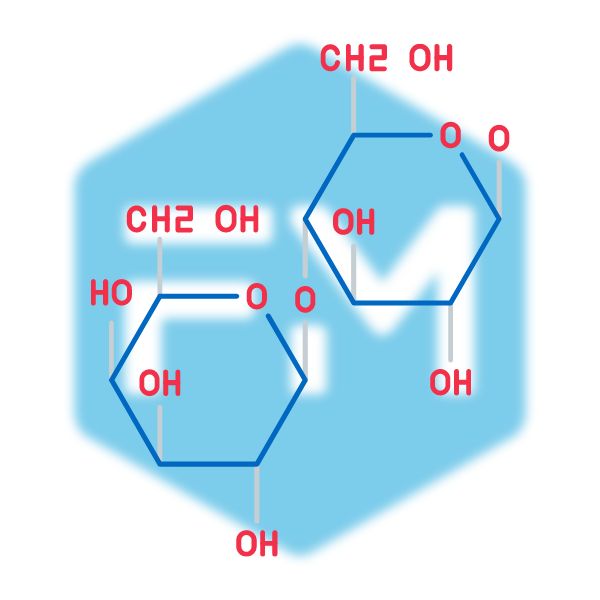 ไดแซ็กคาไรด์ (Disaccharides)