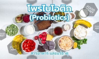 โพรไบโอติก (Probiotics)