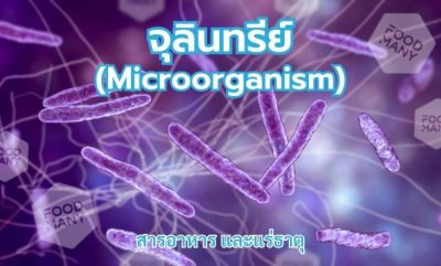 จุลินทรีย์ (Microorganism)