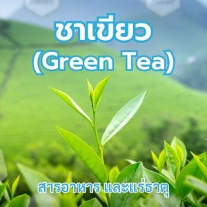 ชาเขียว (Green Tea)