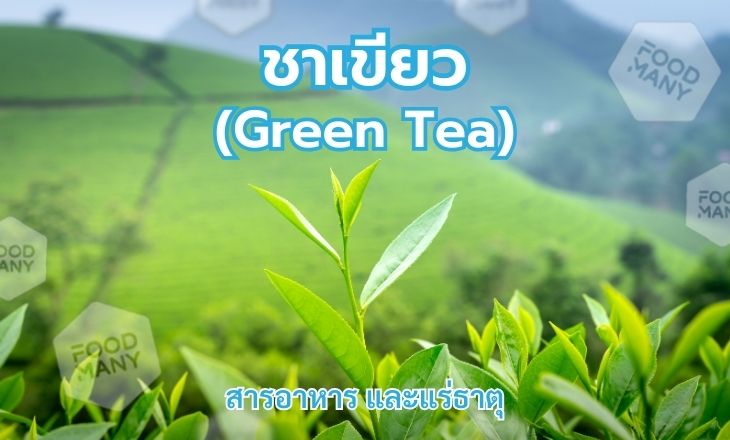 ชาเขียว (Green Tea)