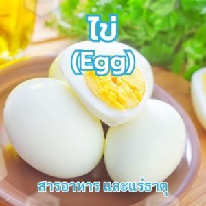 ไข่ (Egg)