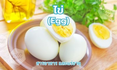 ไข่ (Egg)