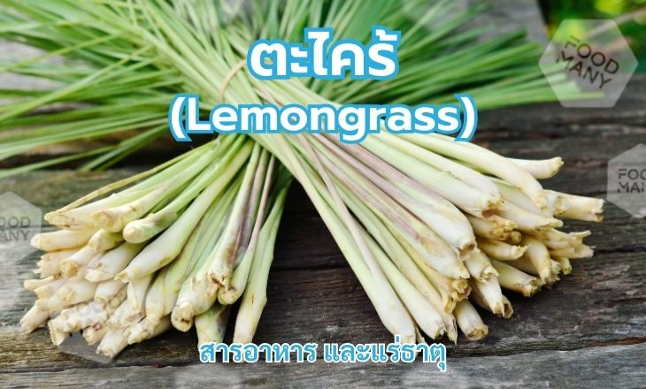 ตะไคร้ (Lemongrass)