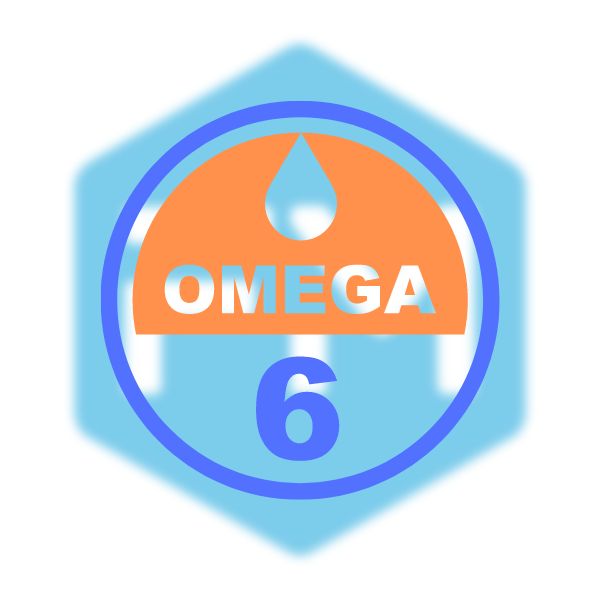 โอเมก้า 6 (Omega-6)