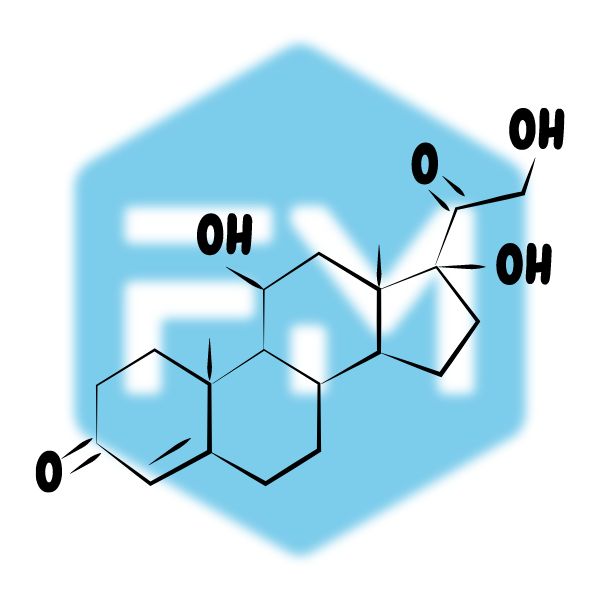 เลปติน (Leptin)