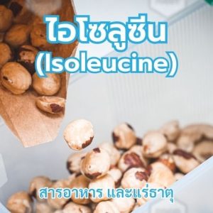 ไอโซลูซีน (Isoleucine)