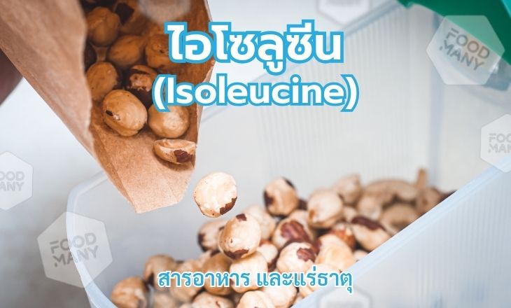 ไอโซลูซีน (Isoleucine)