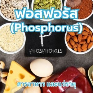 ฟอสฟอรัส (Phosphorus)