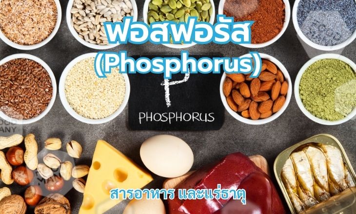 ฟอสฟอรัส (Phosphorus)