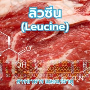 ลิวซีน (Leucine)