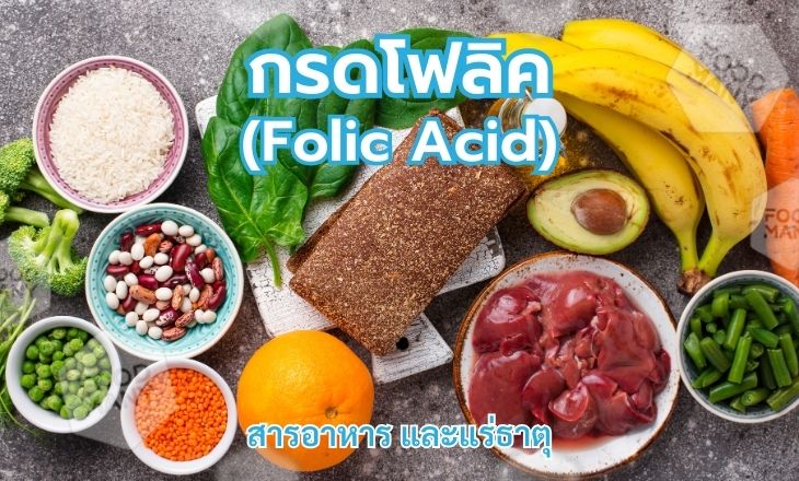 กรดโฟลิค (Folic Acid)