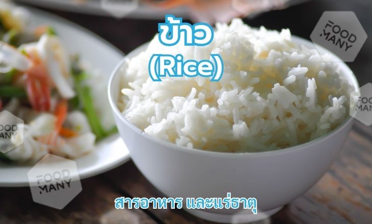 ข้าว (Rice)