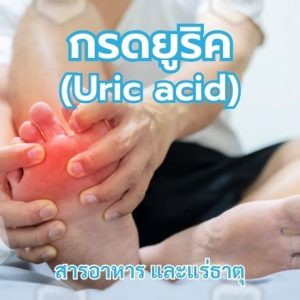 กรดยูริค (Uric acid)