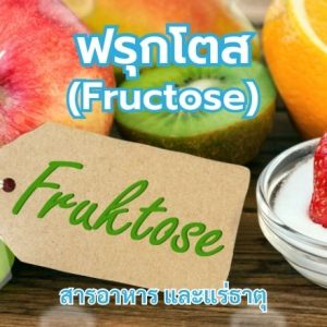 ฟรุกโตส (Fructose)