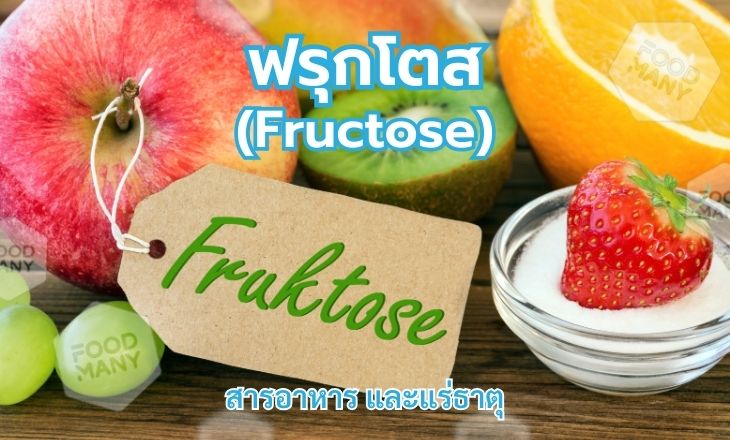 ฟรุกโตส (Fructose)