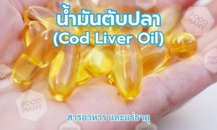 น้ำมันตับปลา (Cod Liver Oil)