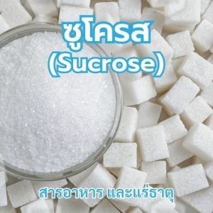 ซูโครส (Sucrose)