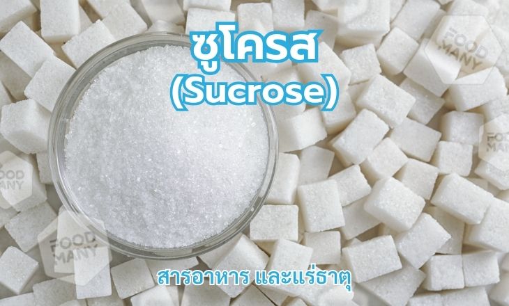 ซูโครส (Sucrose)