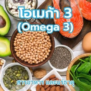 โอเมก้า 3 (Omega 3)