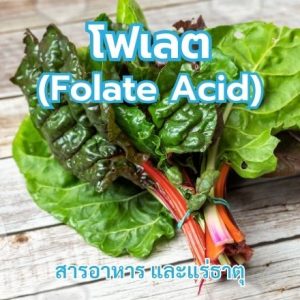 โฟเลต (Folate Acid)