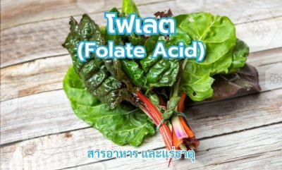 โฟเลต (Folate Acid)