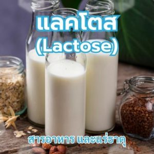 แลคโตส (Lactose)