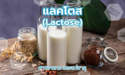 แลคโตส (Lactose)