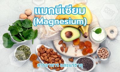 แมกนีเซียม (Magnesium)