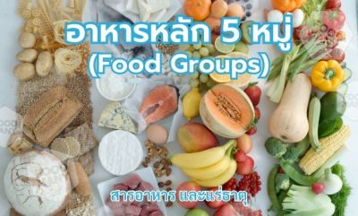 อาหารหลัก 5 หมู่ (Food Groups)