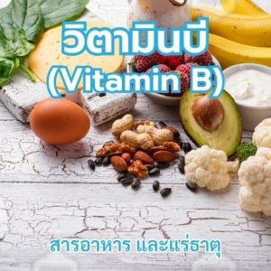 วิตามินบี (Vitamin B)