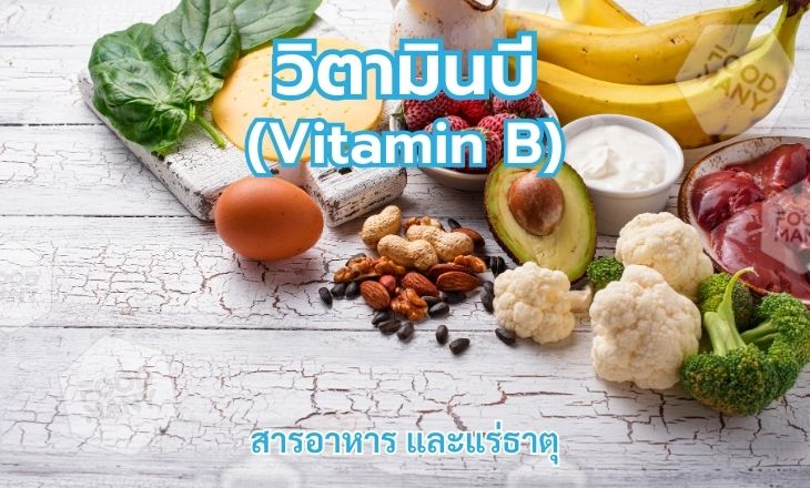 วิตามินบี (Vitamin B)